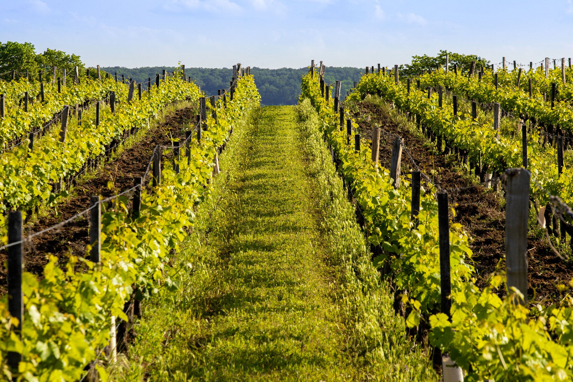 Château de Rochecotte près du Vignoble de Chinon