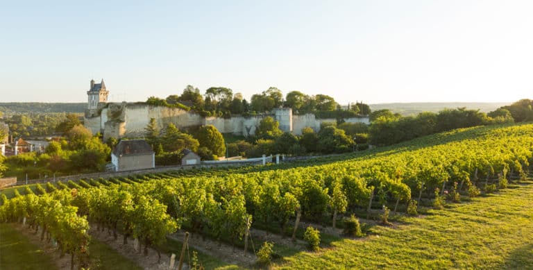 vignobles-de-chinon