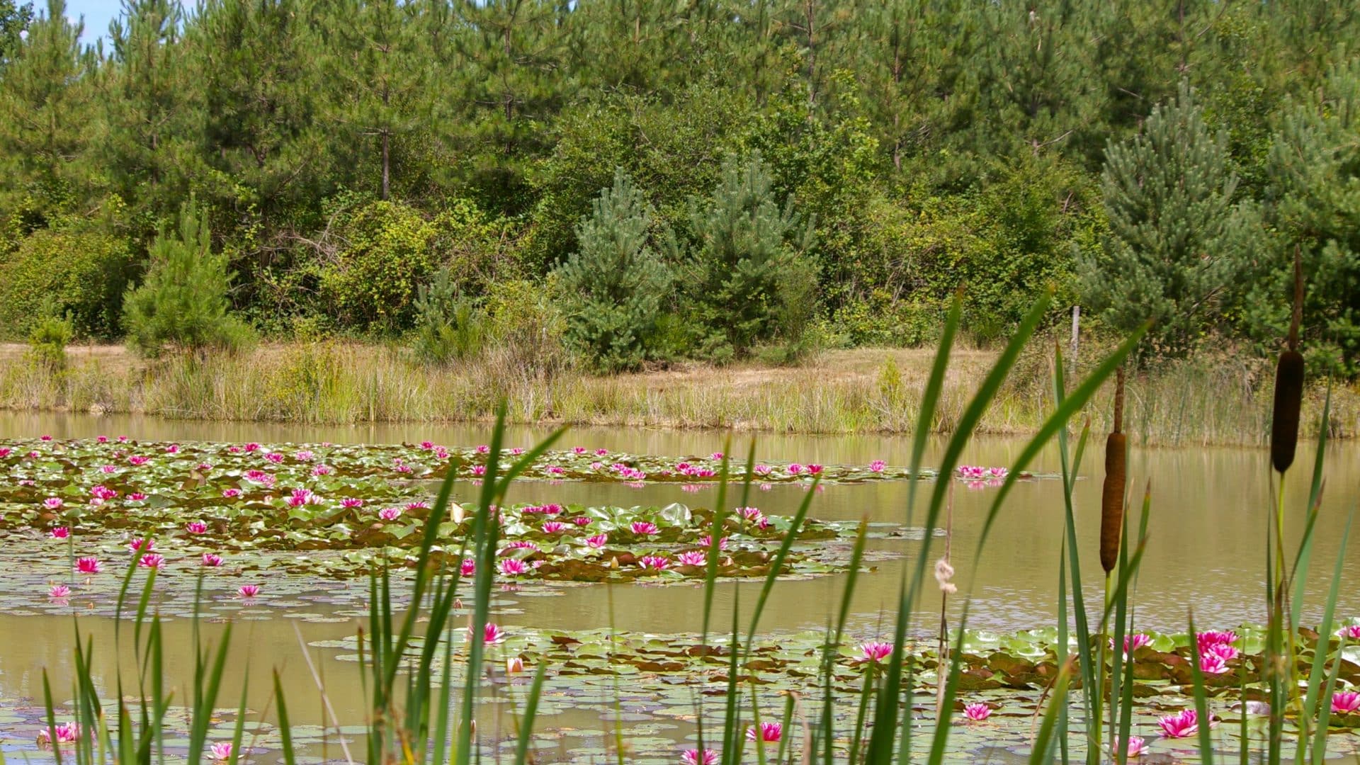 val-de-loire-se-ressourcer-en-pleine-nature-city-break