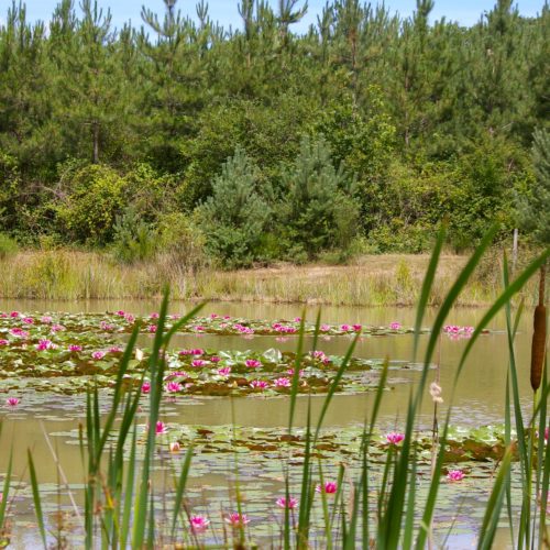 val-de-loire-se-ressourcer-en-pleine-nature-city-break