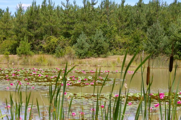 val-de-loire-se-ressourcer-en-pleine-nature-city-break