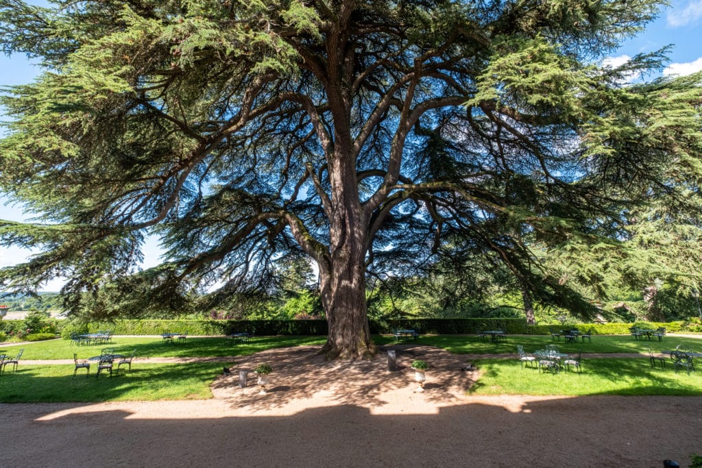 chateau-hotel-val-de-loire-avec-parc-et-jardins