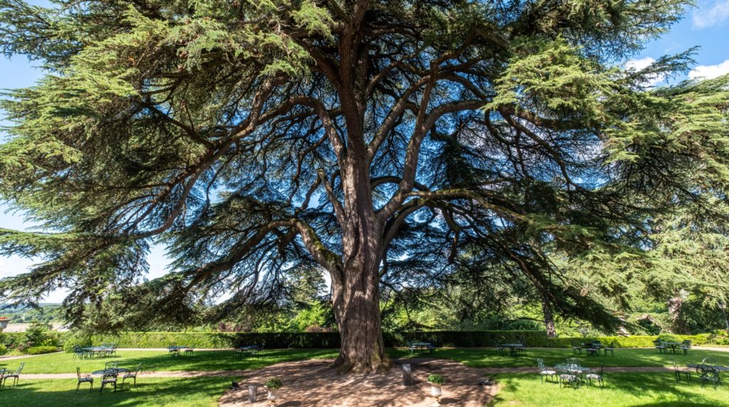chateau-hotel-val-de-loire-avec-parc-et-jardins