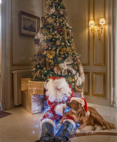 Les Fêtes de fin d'année au Château de Rochecotte