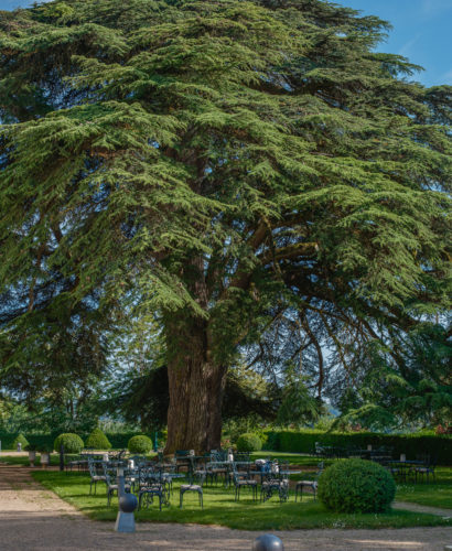 Château de Rochecotte hôtel au coeur de la Touraine