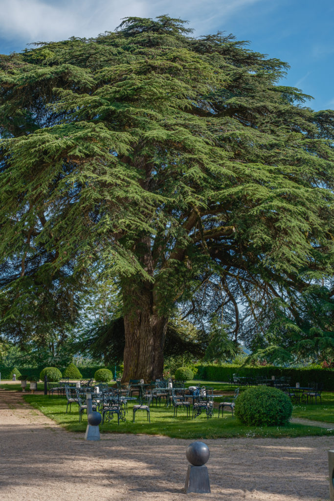 Château de Rochecotte hôtel au coeur de la Touraine 