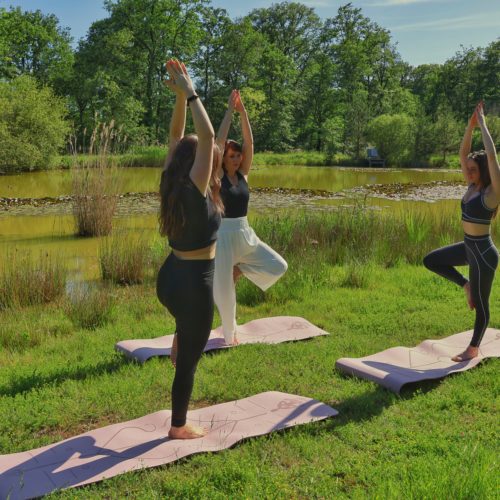 yoga au château de Rochecotte