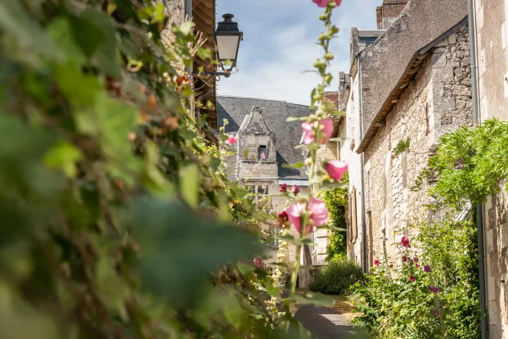 Rue pittoresque de Crissay-sur-Manse, village de Touraine en Indre-et-Loire.